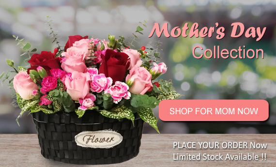 Mother's Day Flowers & Gifts