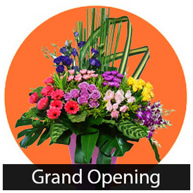 Grand Opening