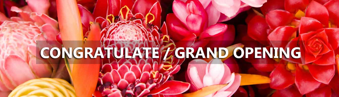 Grand Opening Flowers Malaysia Grand Opening Flowers Malaysia