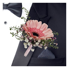 Boutonniere Pink Gerberas