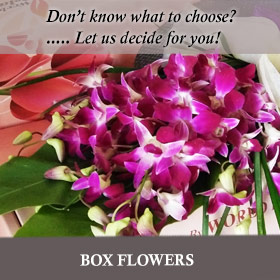 Box Flowers