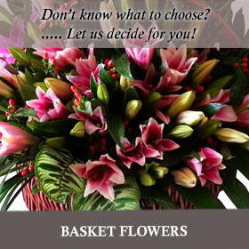 Basket Flowers