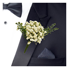 Boutonniere Baby's Breath